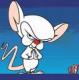 Avatar de cerebroo
