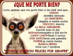 lemur con verdades.jpg