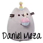 Pusheen.jpeg