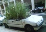 Coche de lo mÃ¡s ecologico..jpg