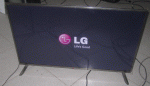 lg 2.gif