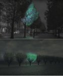 Arbol iluminado.JPG