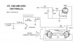 12K5 parallel amp.jpg