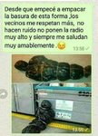 desde-que-empece-a-empacar-la-basura-de-esta-forma-los-vecinos-me-respetan-mas-no-hacen-ruido-...jpg