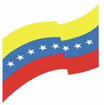 Gobierno Bolivariano - BANDERA.jpg