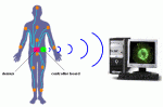 modelobio1_104.gif