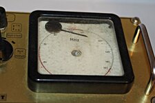 IMG_8198.jpg
