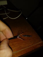 20210218_165255.jpg