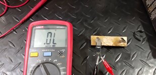 20210330_084119.jpg