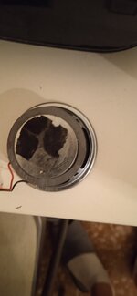 IMG_20211017_124152.jpg