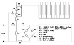 C813.jpg