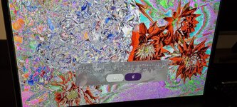 20220430_005939.jpg