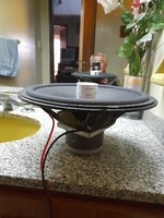 Preparando el Encolado.jpg