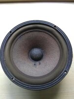 Woofer 8-1.jpg