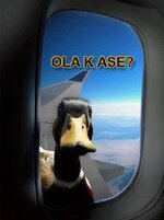 ola k ase.jpg