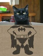 catman.jpg