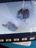 IMG_20230505_165115.jpg