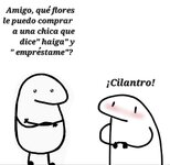 Cilantro.jpg