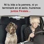 Huiremos juntos.jpg
