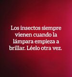 Los insectos.jpg