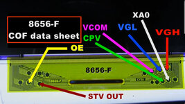 8656-F.jpg
