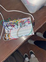 93f6150c-5d48-4ec5-9720-0a29a91d92d1.jpg