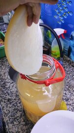 madre-de-vinagre.jpg