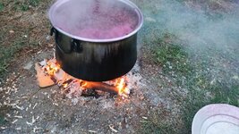 uvas-negras-jugo-de-uva.jpg
