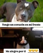 Me alegro por ti.jpg