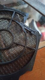 IMG_20250319_152619.jpg