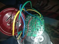 20250403_225113.jpg