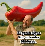 Sigue sin entender.jpg