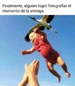 El momento de la entrega.jpg