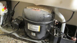 IMG_5277.JPG