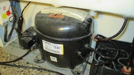 IMG_5280.JPG