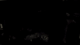 VID_20250610_162054.gif