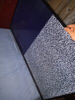 20250611_132114.jpg