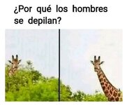Por qué....jpg