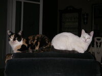 Mimi & Sofía SuSy.jpg