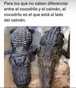 IMG_9259.jpeg