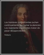 Frases de Voltaire.jpg