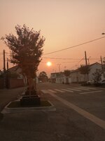 IMG_20250819_201729.jpg