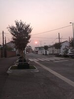 IMG_20250818_202822.jpg