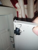 IMG_20250822_195530.jpg