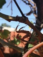 IMG_20250828_115551.jpg