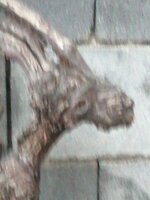IMG_20250829_210028.jpg
