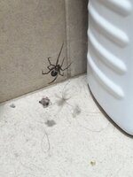 IMG_20250901_101204.jpg