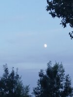 IMG_20250904_203712.jpg