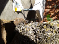 2012-10-01 15.51.15.jpg