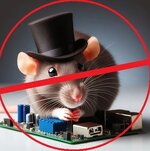 Rat.jpg